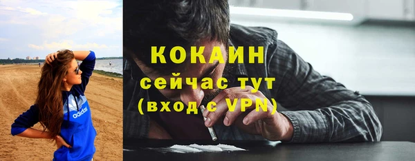 PSILOCYBIN Ладушкин