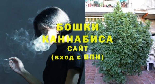 МДПВ Кукмор