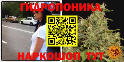 PSILOCYBIN Абинск